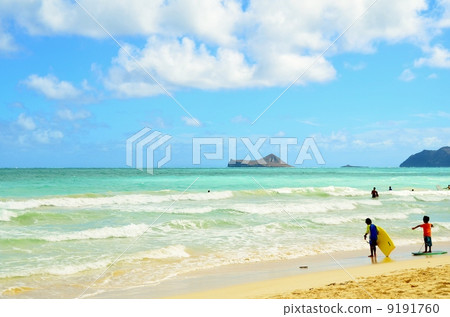夏威夷的假期 夏威夷的假期 9191760