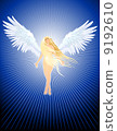 Bright Angel 9192610