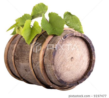 grapes on a wooden vintage barrel 9197477