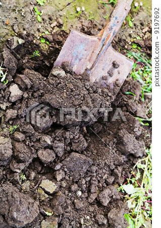 digging with spade 9197692