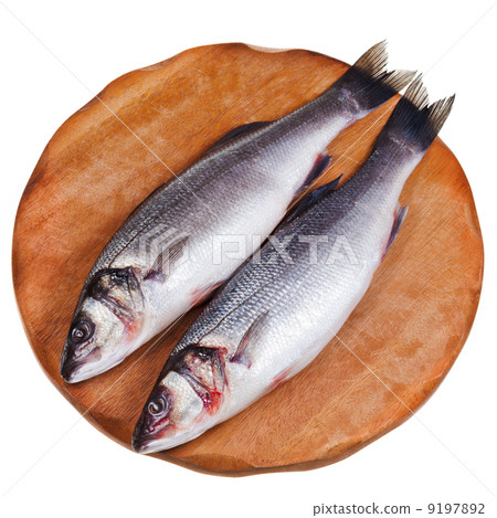 two raw sea bass two raw sea bass 9197892
