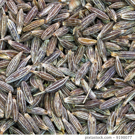 dried cumin seeds close up 9198077