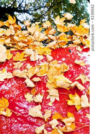 yellow autumn leaves on red car yellow autumn leaves on red car 9198082