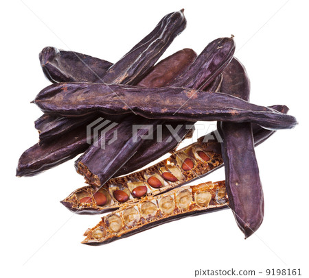 Dry carob pods 9198161