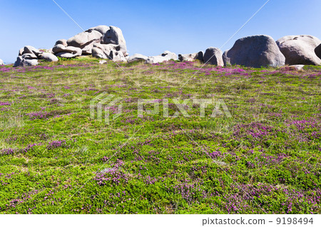 moorland with stone boulders in Brittany 9198494