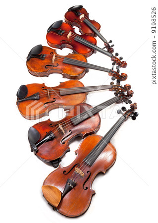 different sized violins different sized violins 9198526