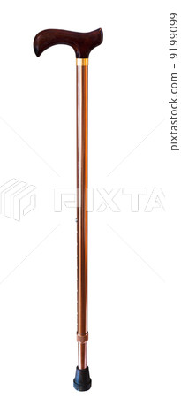 walking stick walking stick 9199099