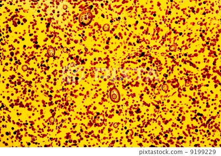 suspension of bits and air-cells in viscous liquid close-up suspension of bits and air-cells in viscous liquid close-up 9199229