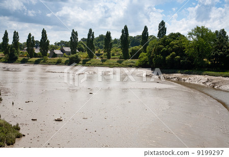 river slimy bottom and bank after water flood 9199297