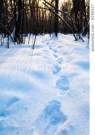 way in snow way in snow 9199327