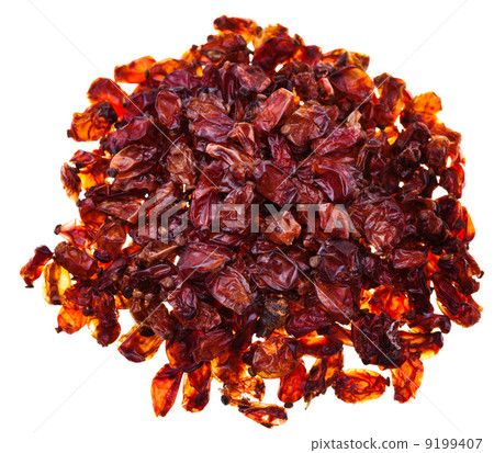 many red barberries many red barberries 9199407