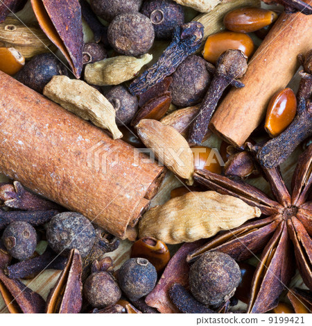background from dried spices 9199421