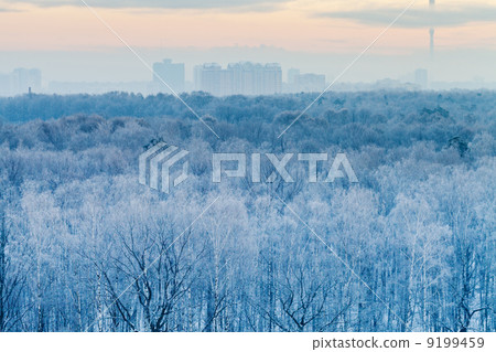 blue sunrise in very cold winter early morning 9199459