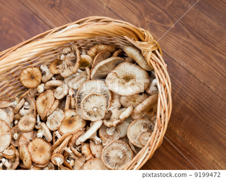 basket with mushrooms 9199472