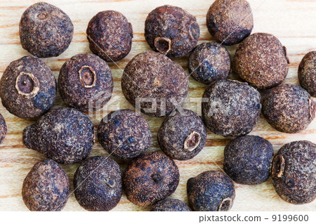 jamaica pepper seeds 9199600
