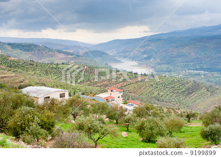 mountain valley and river in Jordan mountain valley and river in Jordan 9199899