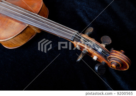 violin scroll on black velvet background 9200565