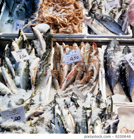 fresh cool fish on ice at street market 9200646