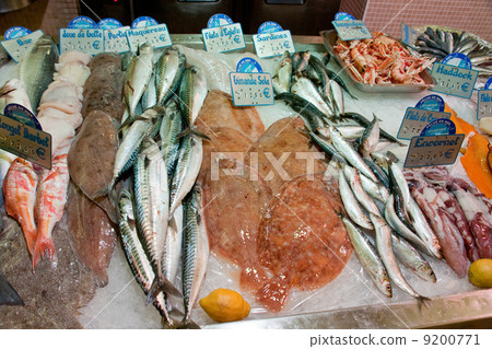 fish and seafood in fish store 9200771