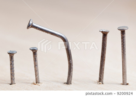 line of nails 9200924