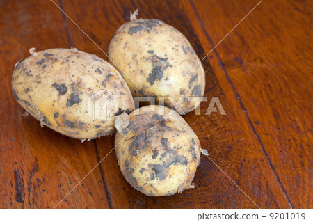 three raw potatoes 9201019