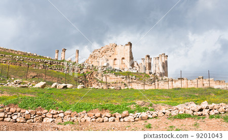 Artemis temple in town Jerash 9201043