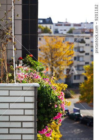 bed of flowers on the balcony of urban house 9201182