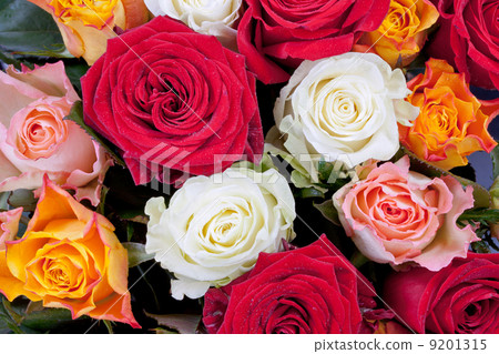 bunch of roses 9201315