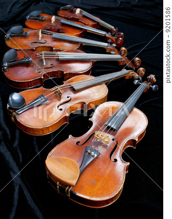 different sized violins on black different sized violins on black 9201586