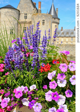 flowers in front of castle flowers in front of castle 9201684