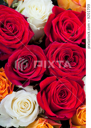 bouquet of roses 9201709