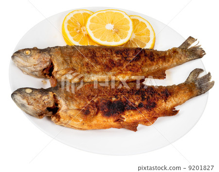 two fried river trout fishes on plate 9201827