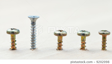range of screws wrapped in wooden plank range of screws wrapped in wooden plank 9202098