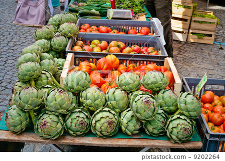 vegetable market in summer day vegetable market in summer day 9202264