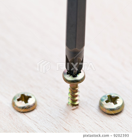 Screwdriver wraps screw Screwdriver wraps screw 9202393