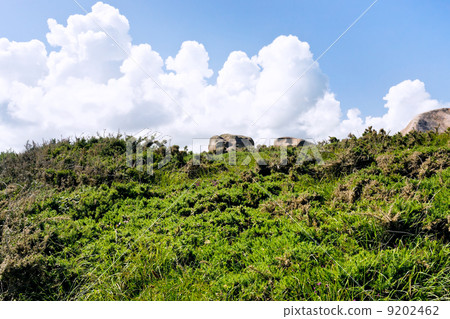 moorland on a hillside moorland on a hillside 9202462