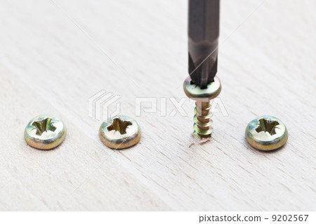 Screwdriver wraps screw Screwdriver wraps screw 9202567