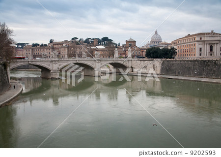 view on Tiber and St Peter Basilica 9202593