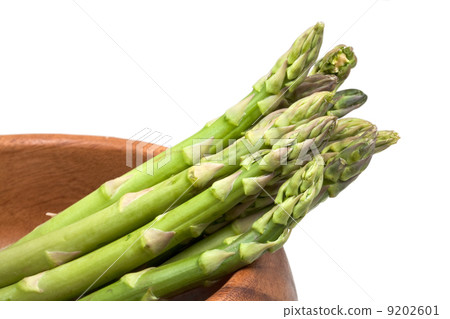 fresh green asparagus fresh green asparagus 9202601