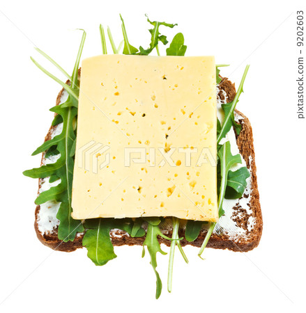 sandwich from rye bread, cheese and fresh arugula 9202603