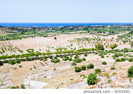 rural view on Mediterranean coast in Sicily 9202692