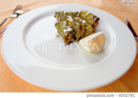 meat balls in lemon leafs on plate meat balls in lemon leafs on plate 9202791