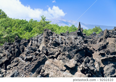 lava rocks close up lava rocks close up 9202810
