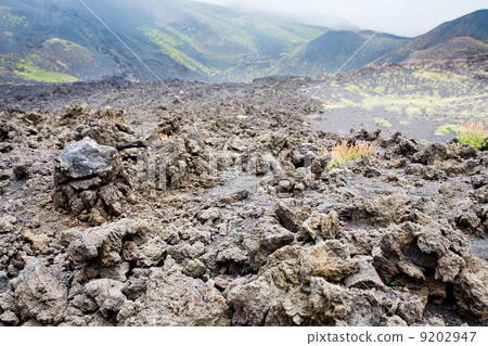 lava rocks close up on volcano slope of Etna lava rocks close up on volcano slope of Etna 9202947