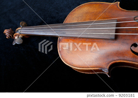fiddle on black velvet background 9203181