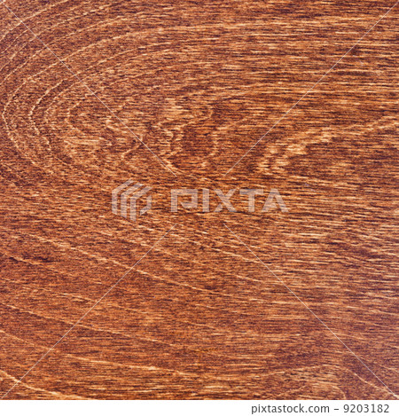 toned birch wood toned birch wood 9203182