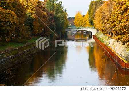 bridge and fall of leavesl on Landwehrkanal bridge and fall of leavesl on Landwehrkanal 9203272