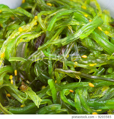 chuka salad - seaweed salad close up 9203565