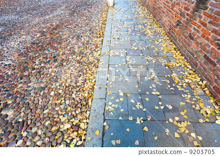antique road - via degli Angeli at autumn day in Ferrara 9203705