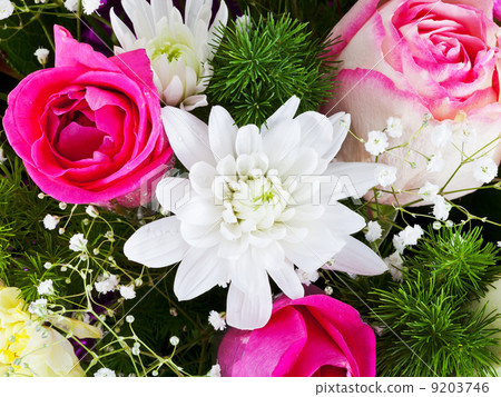 white chrysanth and pink roses 9203746